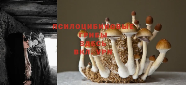 трава Баксан