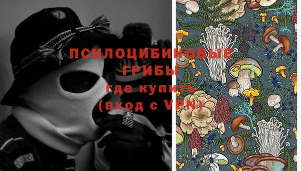 гидропоника Балахна