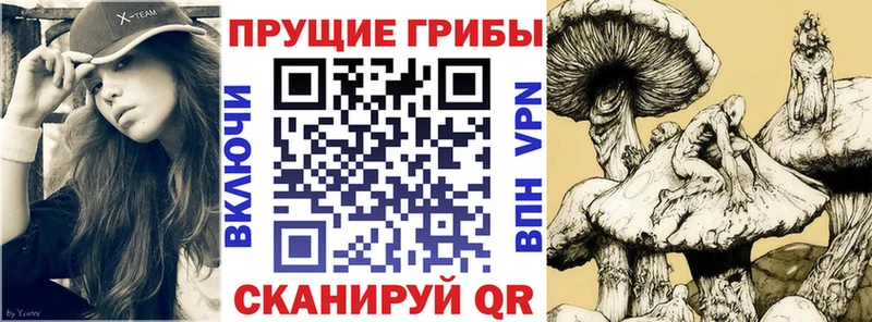 Галлюциногенные грибы GOLDEN TEACHER наркошоп Краснокаменск